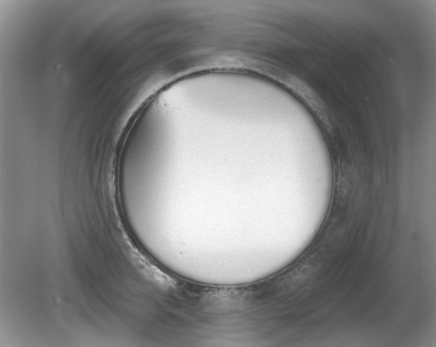 X0000080130950200612081226