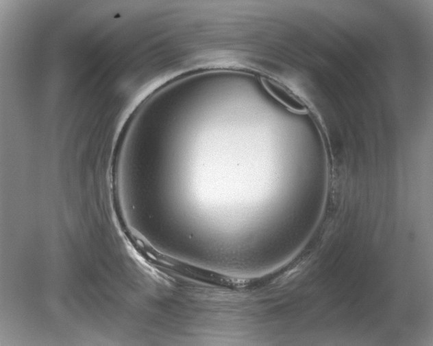 X0000080130951200612081226