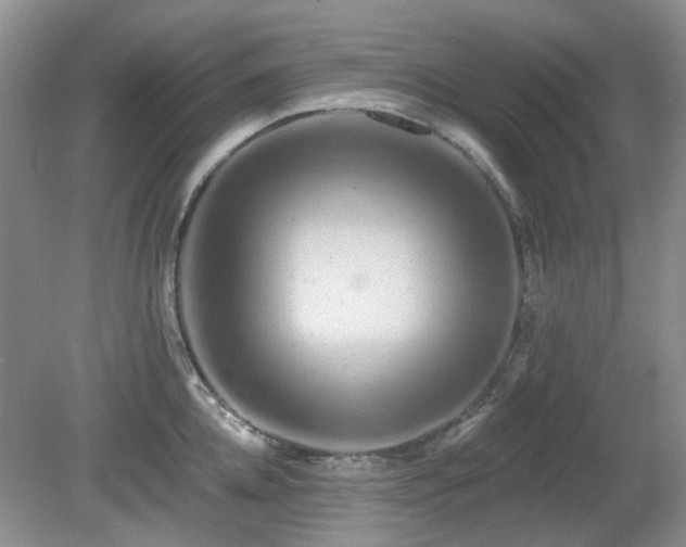 X0000080130952200612081226