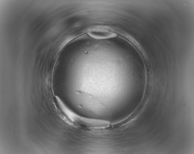 X0000080130953200612081226