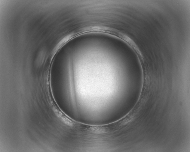 X0000080130954200612081227