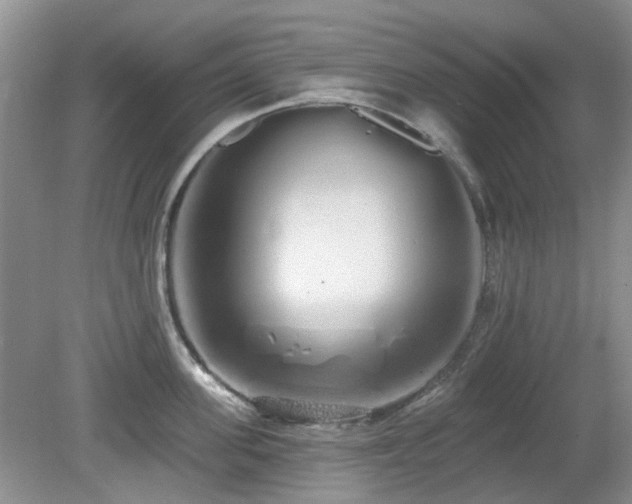 X0000080130955200612081227