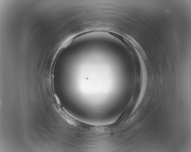 X0000080130956200612081227