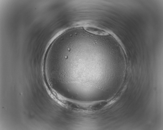 X0000080130957200612081227