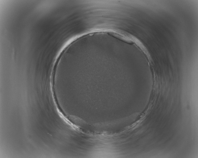 X0000080130958200612081227