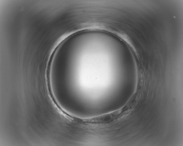 X0000080130959200612081227