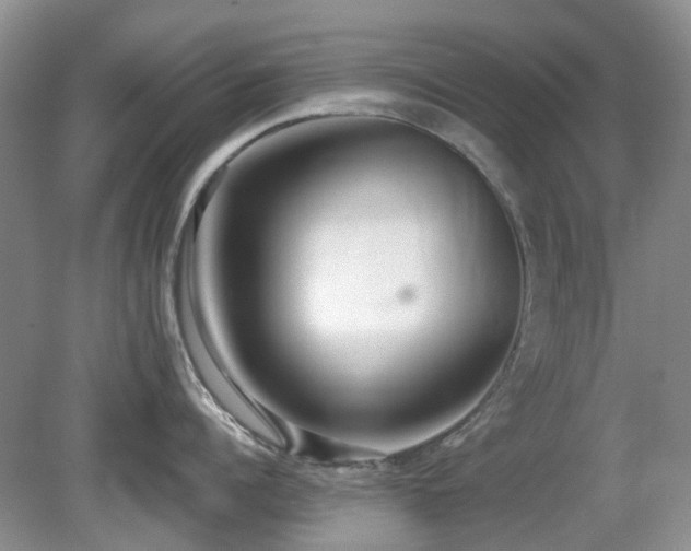 X0000080130960200612081227