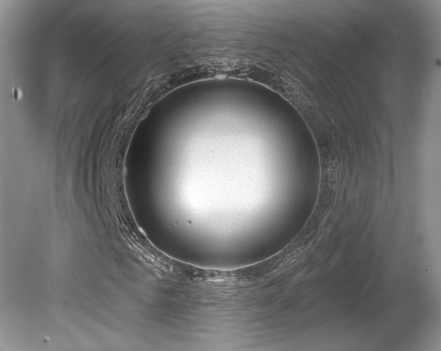 X0000080130961200612081226