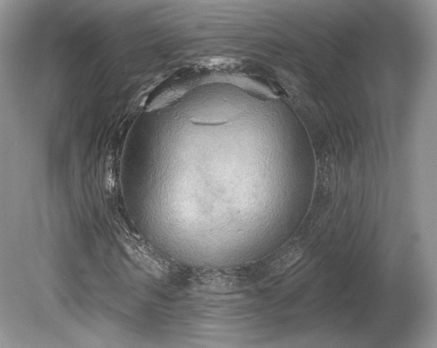 X0000080130962200612081226