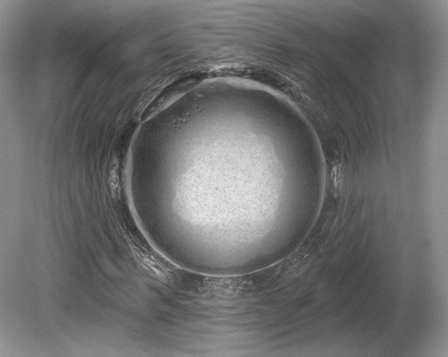 X0000080130963200612081226