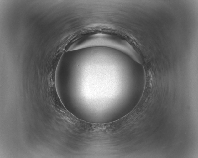 X0000080130965200612081226