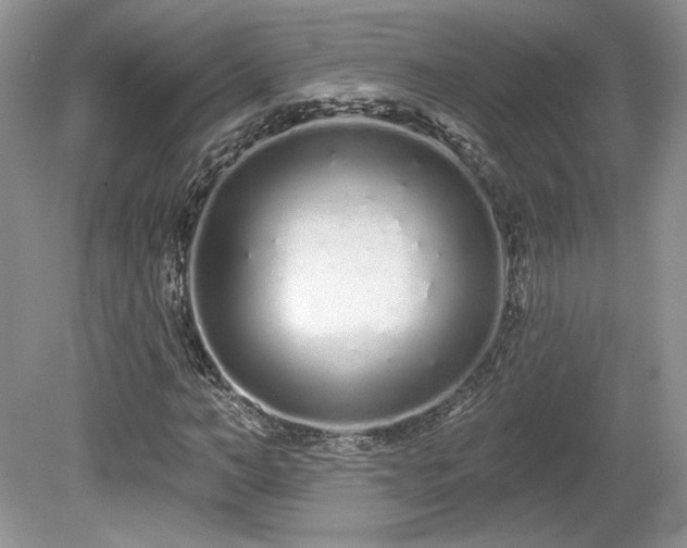 X0000080130966200612081226