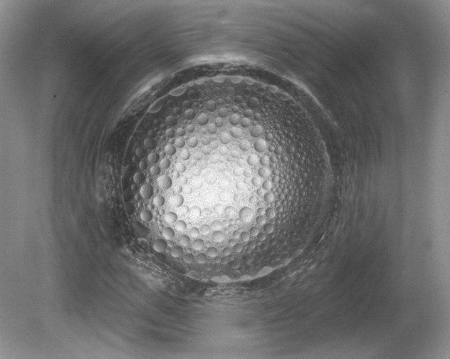 X0000080130967200612081226