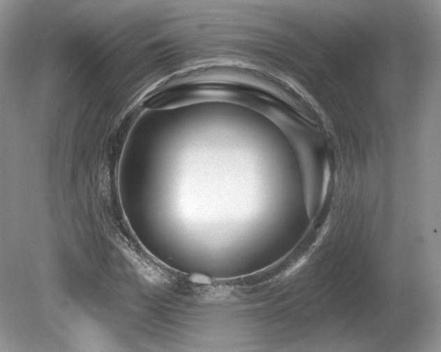 X0000080130969200612081226