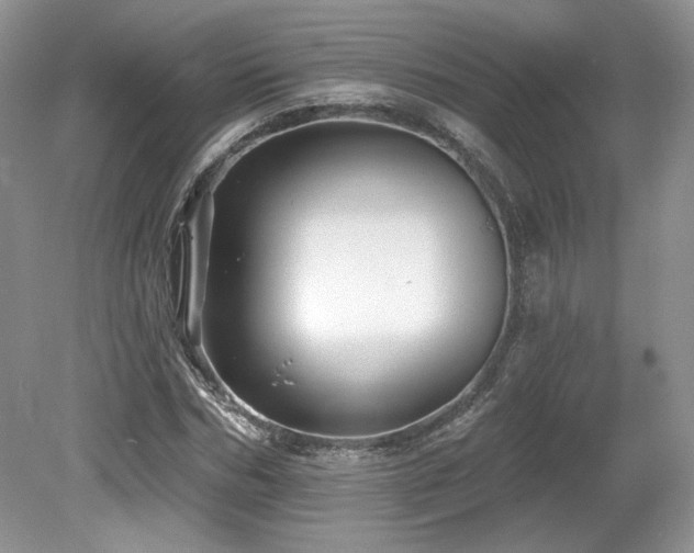 X0000080130970200612081226