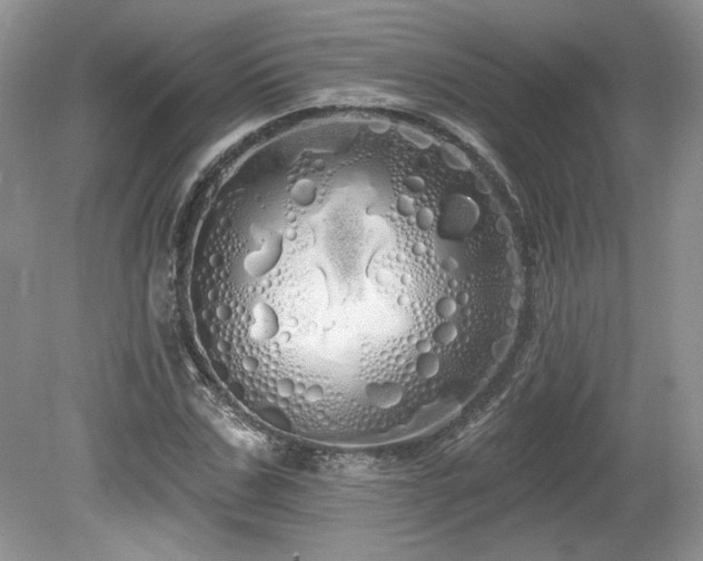 X0000080130971200612081226