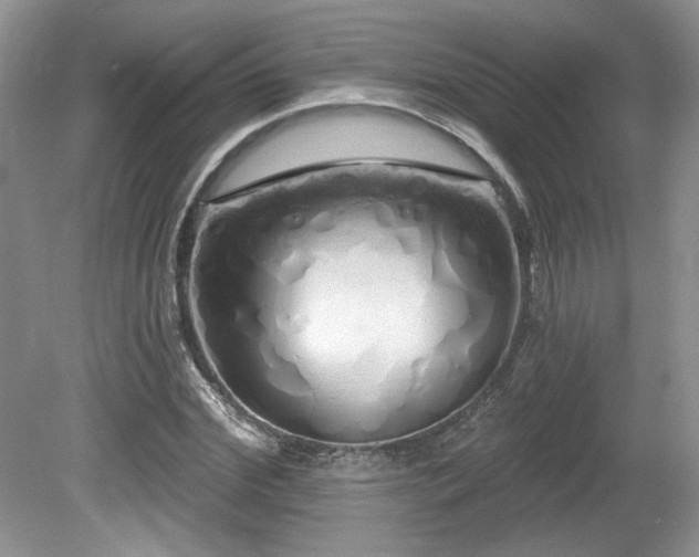 X0000080130972200612081226