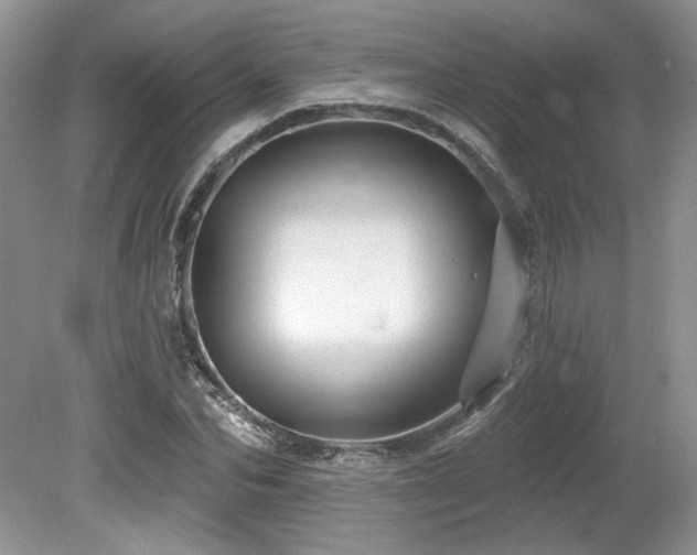 X0000080130974200612081226