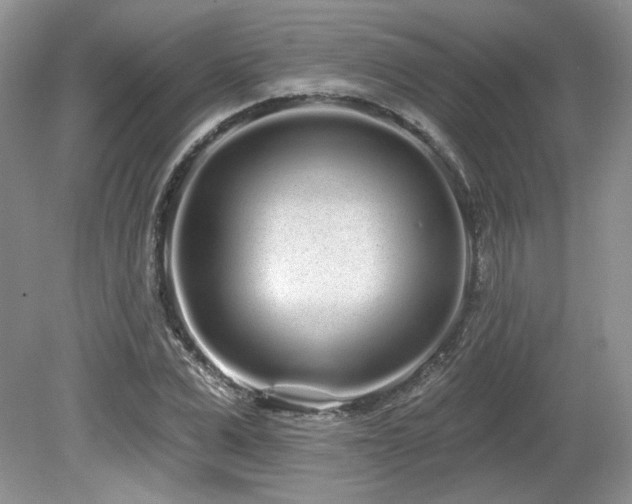 X0000080130975200612081226