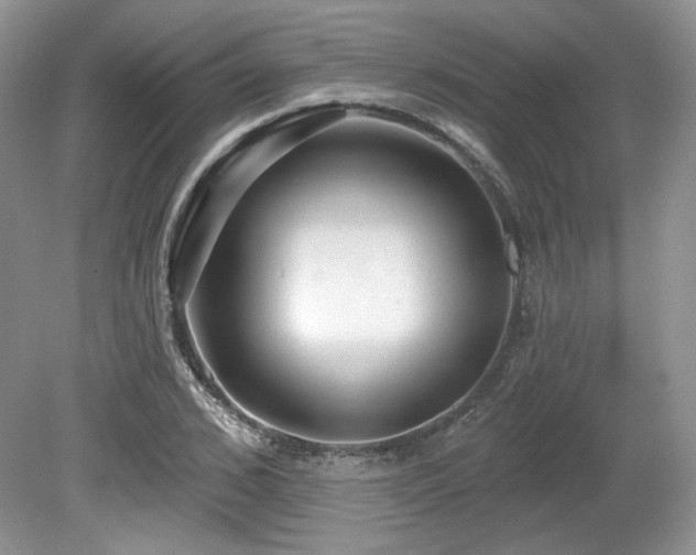 X0000080130976200612081226