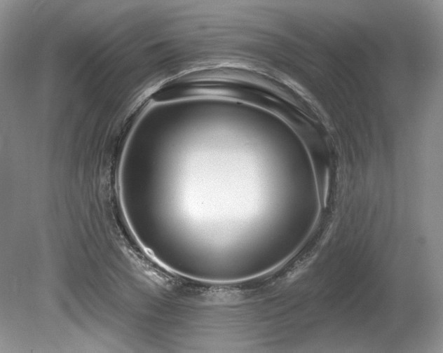 X0000080130977200612081226