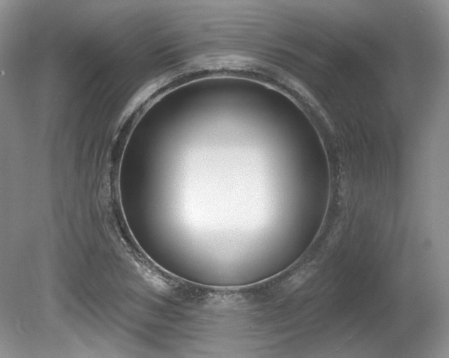 X0000080130978200612081226