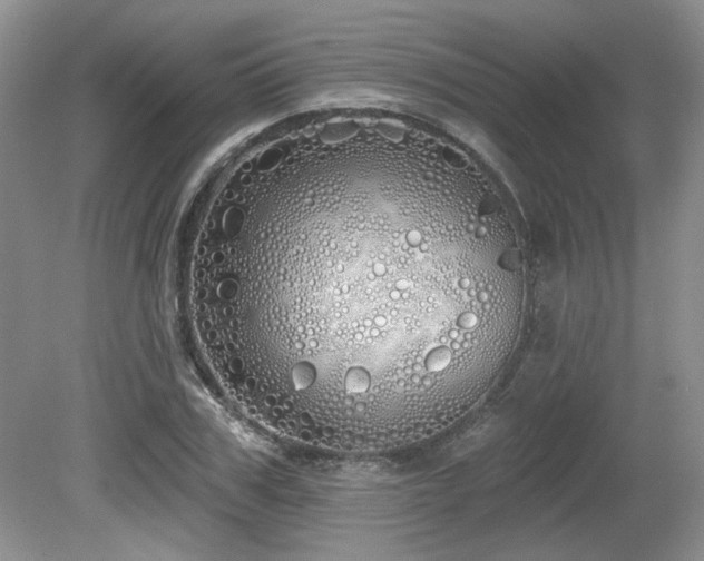 X0000080130979200612081226