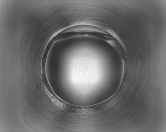 X0000080130980200612081225