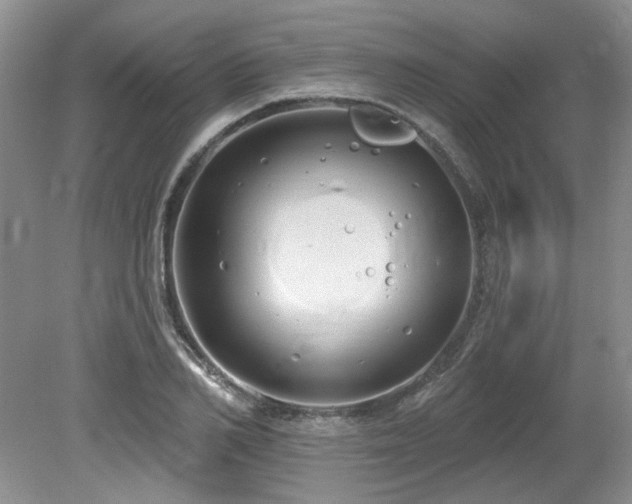 X0000080130982200612081225