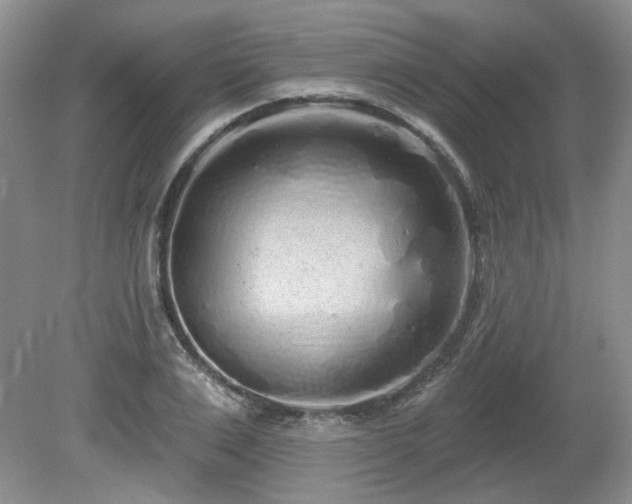 X0000080130983200612081225