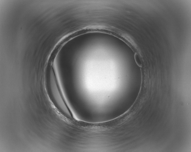 X0000080130984200612081225