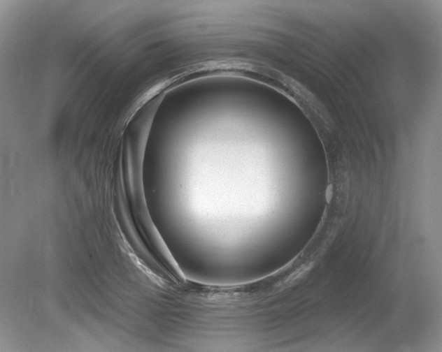 X0000080130985200612081225