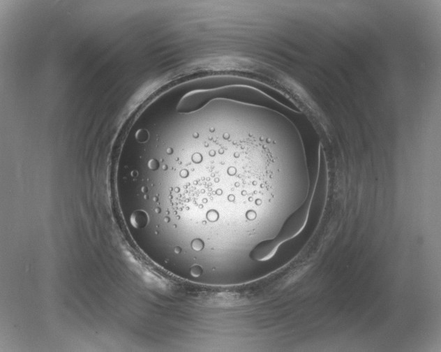 X0000080130986200612081225