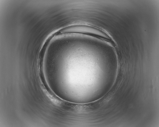 X0000080130987200612081225