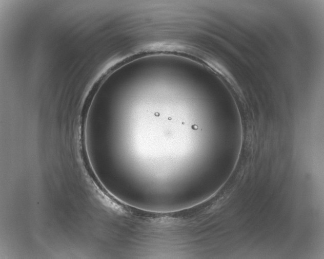 X0000080130992200612081225