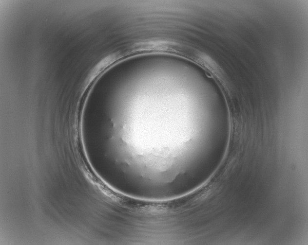 X0000080130994200612081225