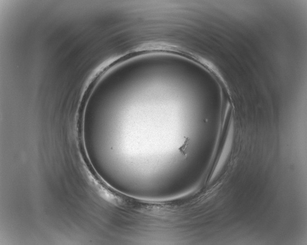 X0000080130995200612081225