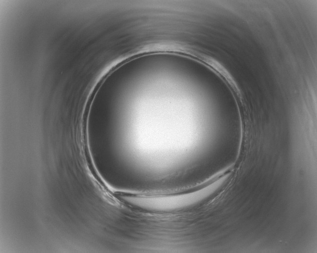 X0000080130996200612081225