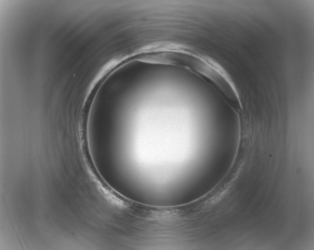 X0000080130997200612081225