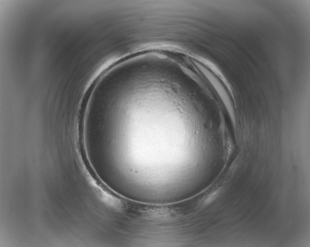 X0000080130999200612081225