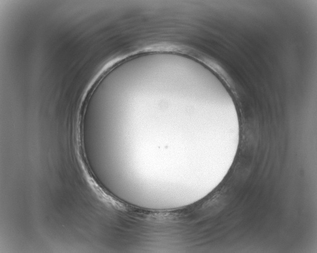 X0000080131000200612081225