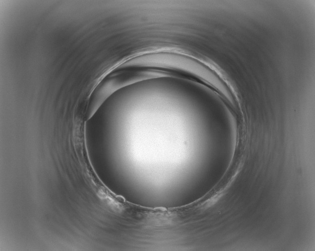 X0000080131001200612081225