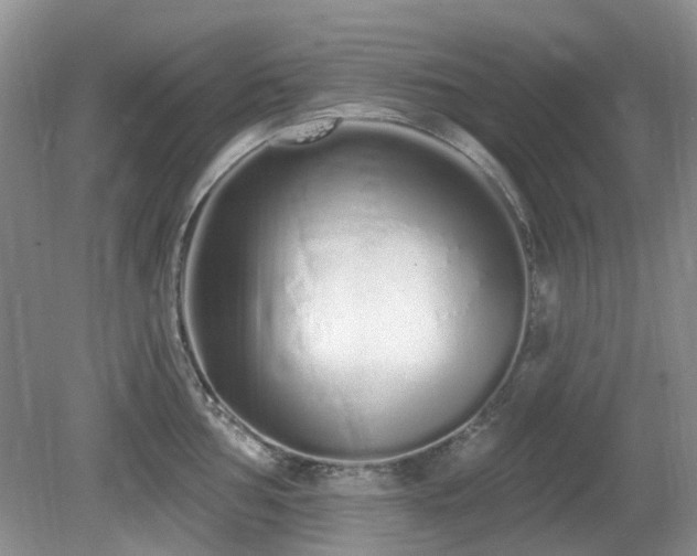 X0000080131002200612081225