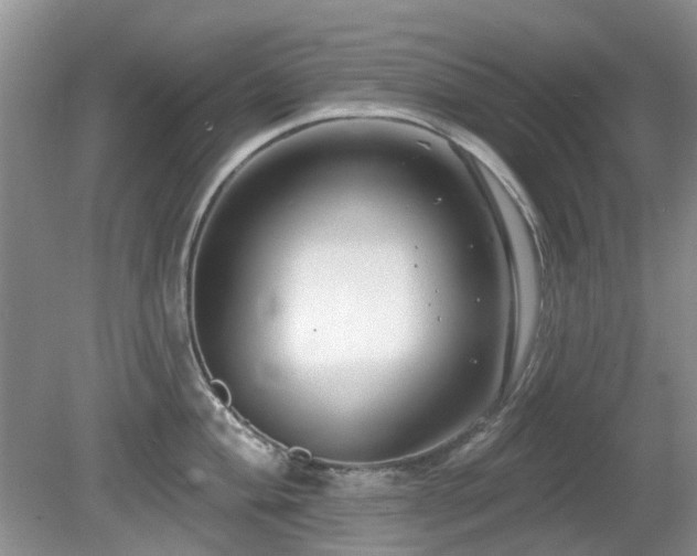 X0000080131004200612081225