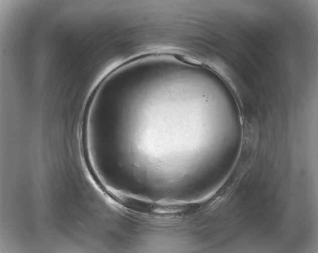 X0000080131007200612081225