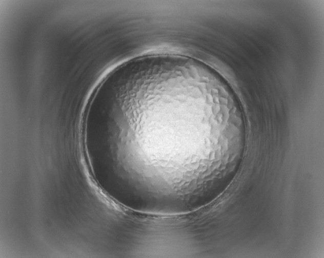 X0000080131008200612081225