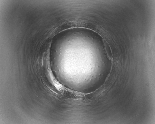 X0000080131010200612081224