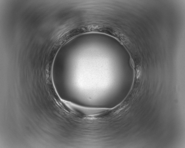 X0000080131011200612081224