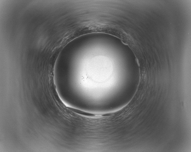 X0000080131012200612081224