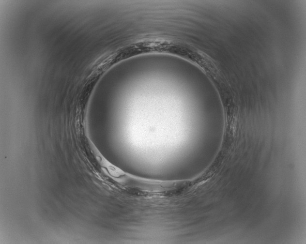 X0000080131014200612081224